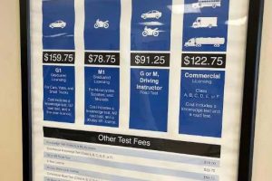 drive_test_kingston_photos-3