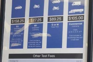 drive_test_orillia_photos-4