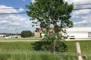 drive_test_owen_sound_photos-3